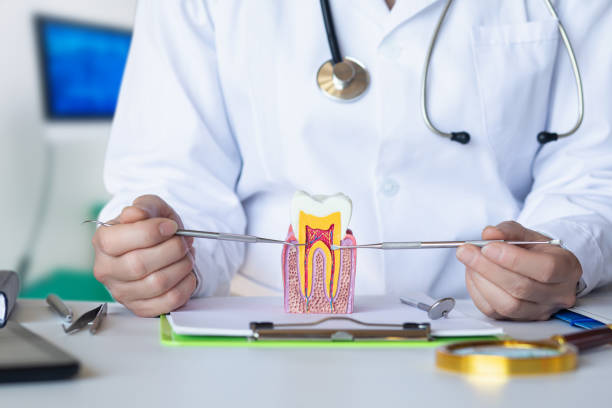 Best Emergency Dentist for Lost Fillings or Crowns in Princeton, FL